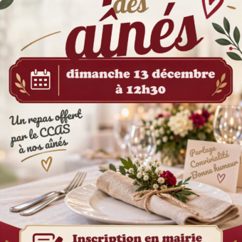 Repas des ainés